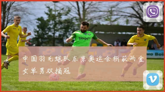 中国羽毛球队东京奥运会斩获两金女单男双摘冠