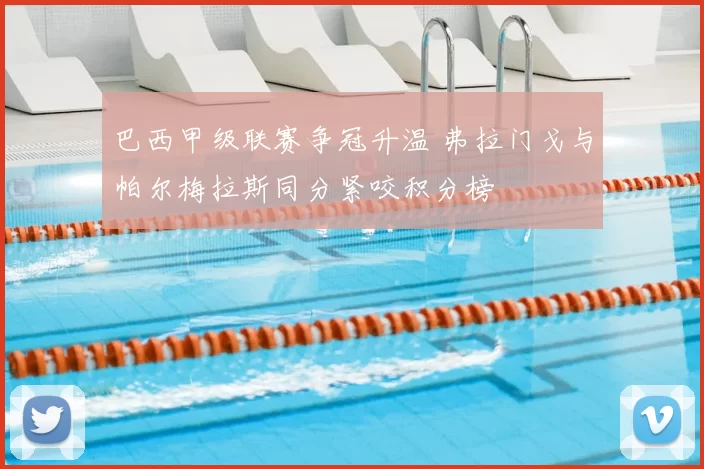 巴西甲级联赛争冠升温 弗拉门戈与帕尔梅拉斯同分紧咬积分榜