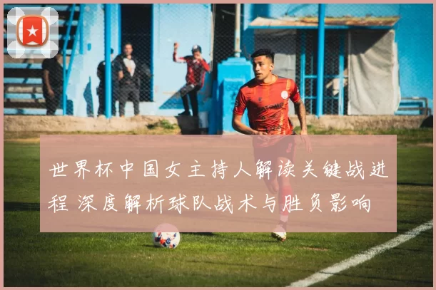 世界杯中国女主持人解读关键战进程 深度解析球队战术与胜负影响