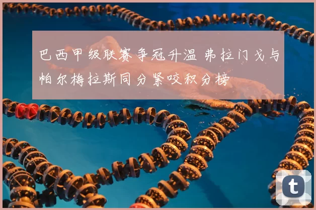 巴西甲级联赛争冠升温 弗拉门戈与帕尔梅拉斯同分紧咬积分榜