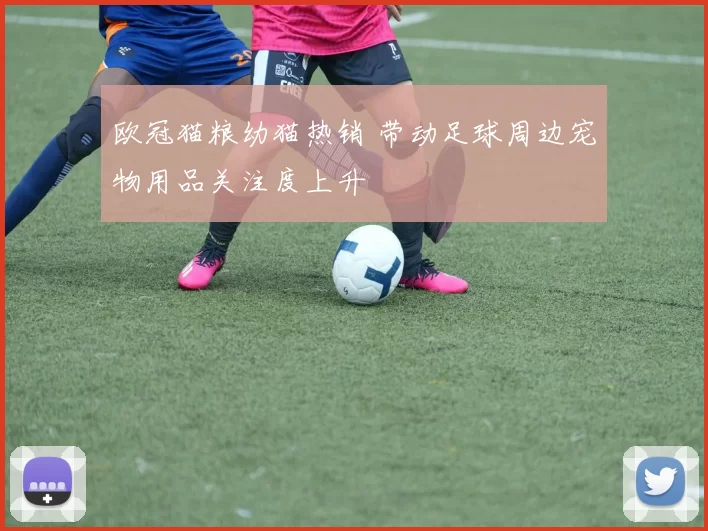 欧冠猫粮幼猫热销 带动足球周边宠物用品关注度上升