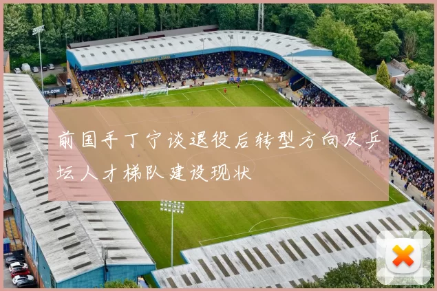 前国手丁宁谈退役后转型方向及乒坛人才梯队建设现状